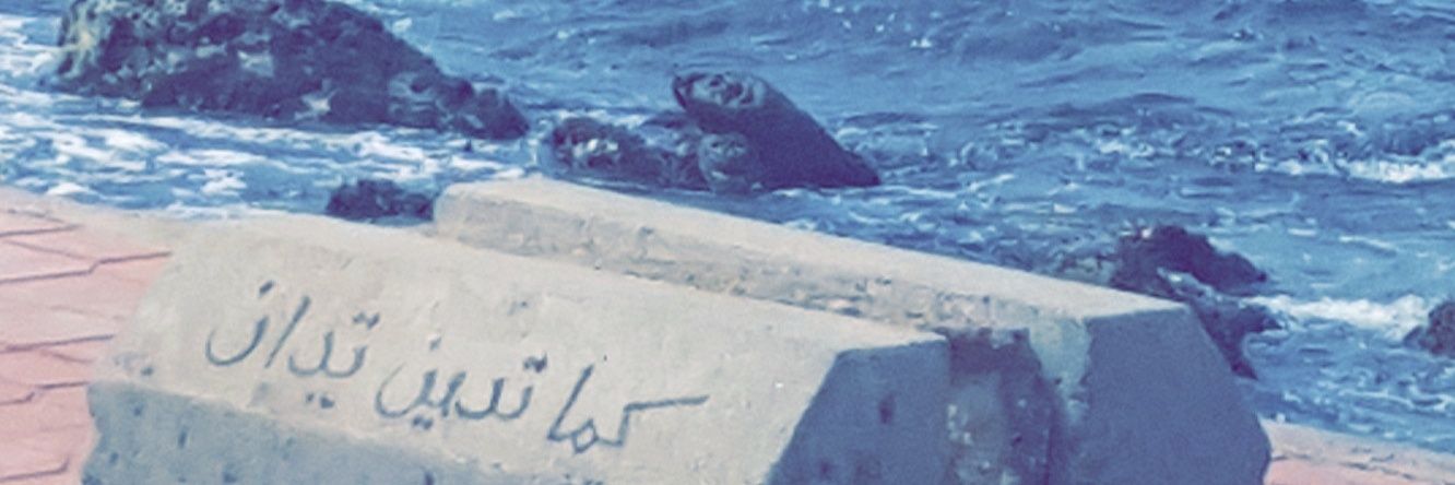 Hamzref's profile banner image
