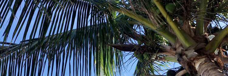 WorldOfIsiah's profile banner image