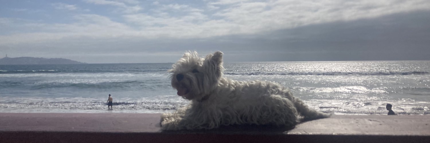 Sergio Torres banner