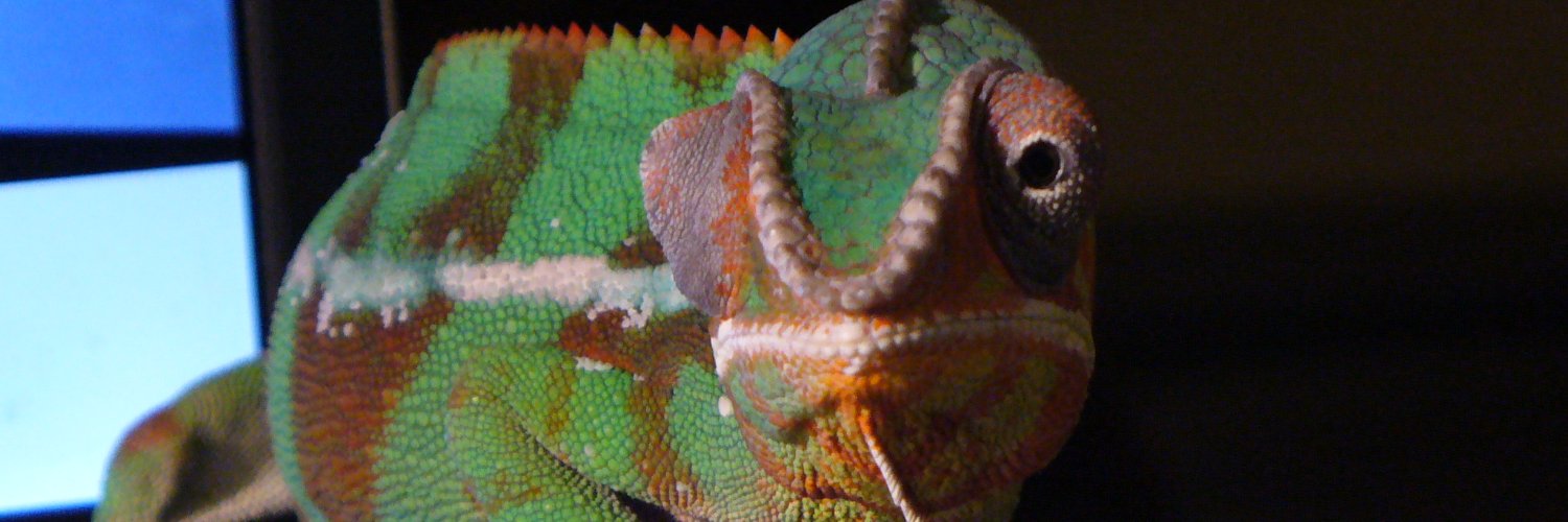 Valued Sony Customer banner