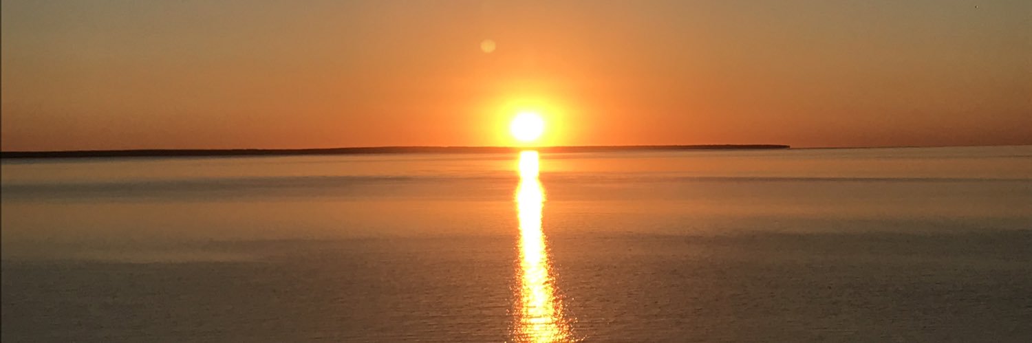 mjsauder's profile banner image