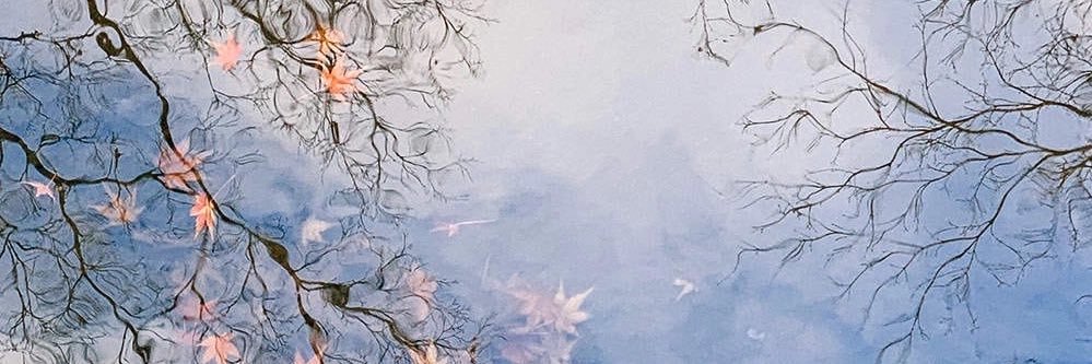 AntarienEl's profile banner image