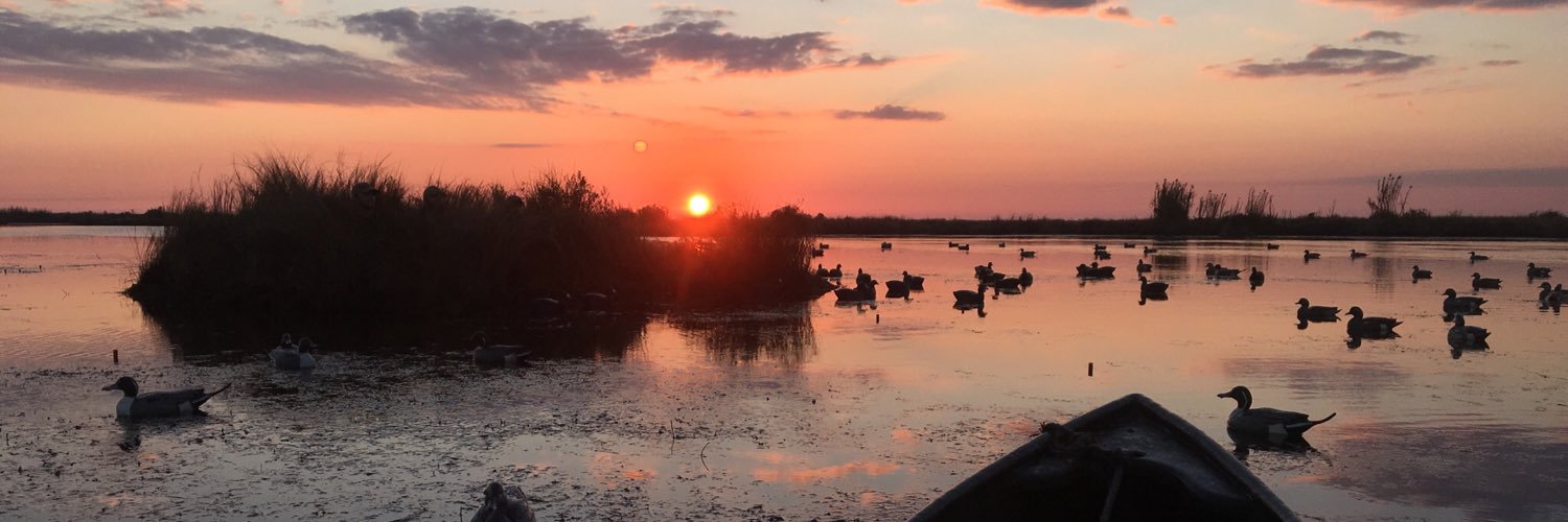 Ben St.Cyr banner