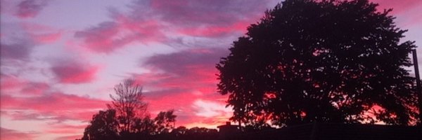 ECotter10 Profile Banner