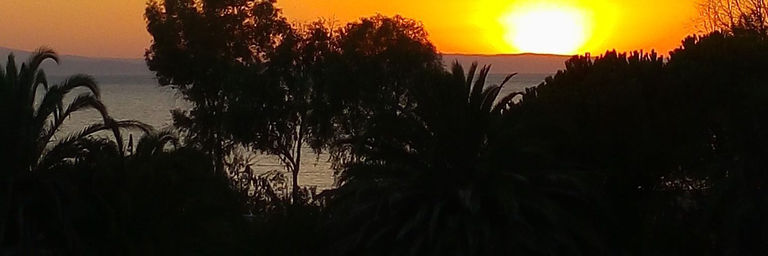 metinadayildiz's profile banner image