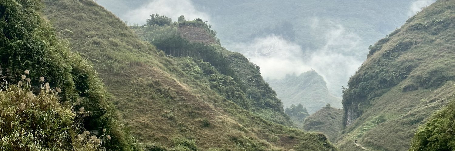 LEVERGNEC's profile banner image