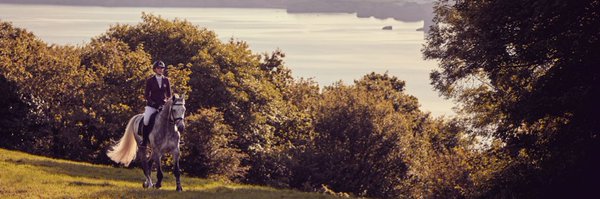 kingeventing Profile Banner