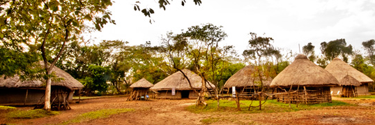 Muga_Onyando's profile banner image