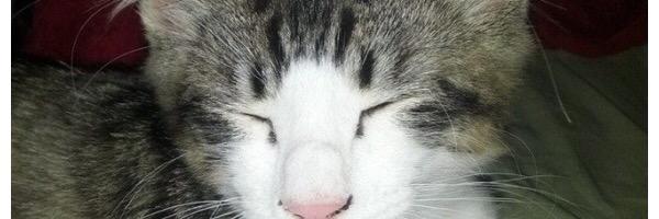kroptavichd18's profile banner image