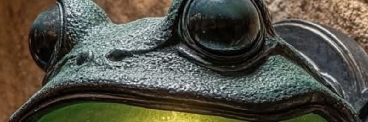 Zaxon Bundalovich banner