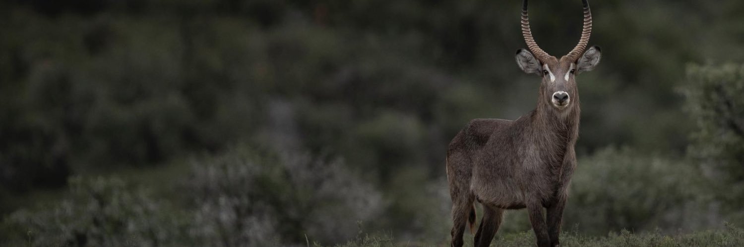 erikplug1972's profile banner image