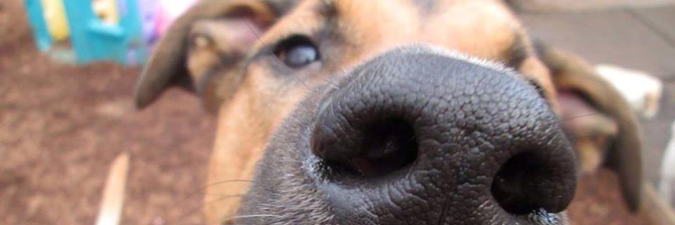 JavaGing_97's profile banner image