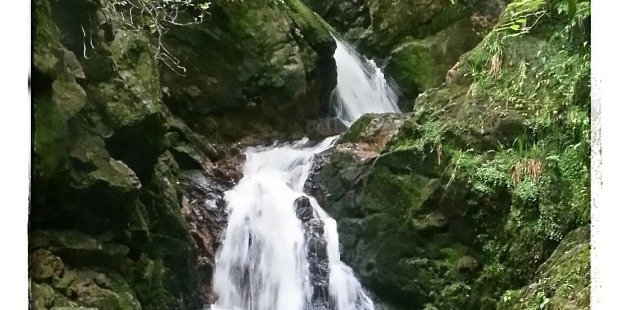 Robert Macleod banner