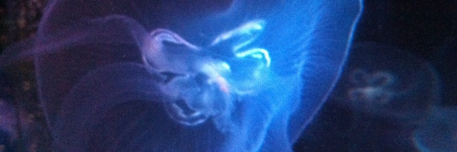 elibascu's profile banner image