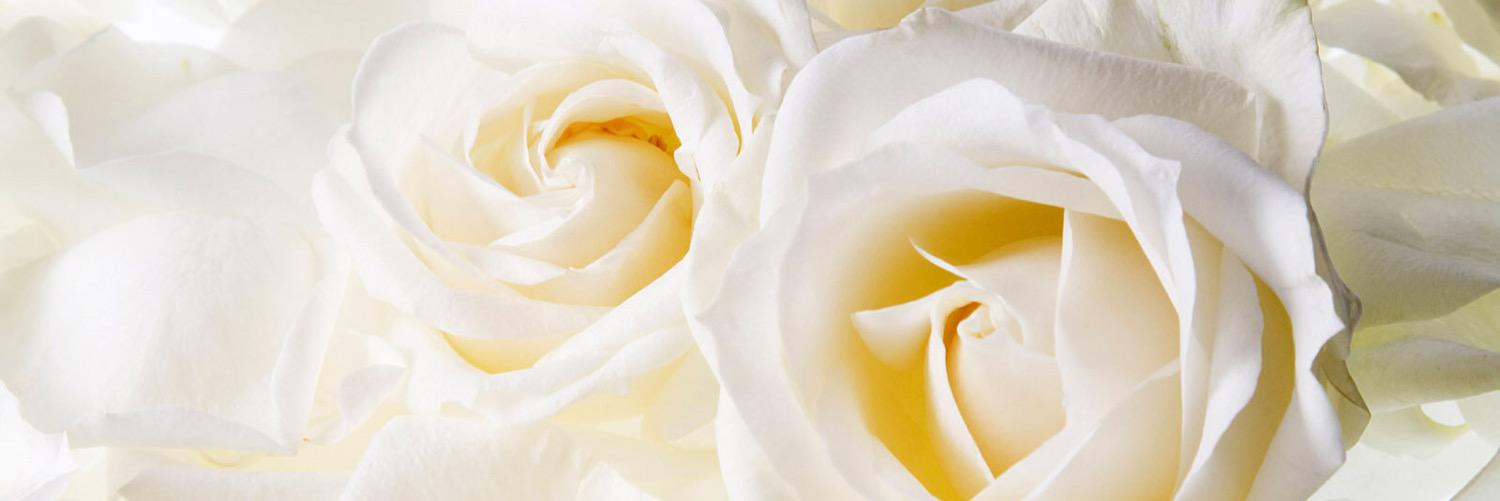 Mercil24's profile banner image