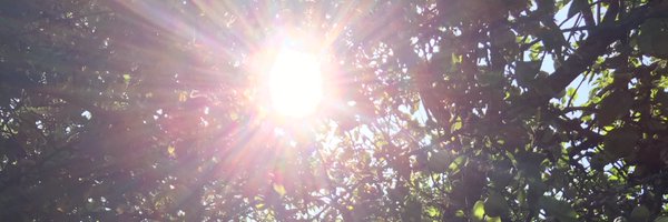 MarianaGrepinet Profile Banner