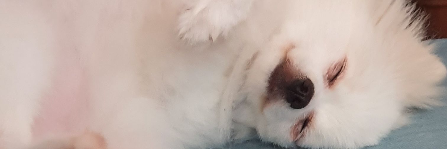 FelpesCruz's profile banner image
