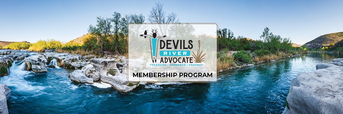 drconservancy's profile banner image
