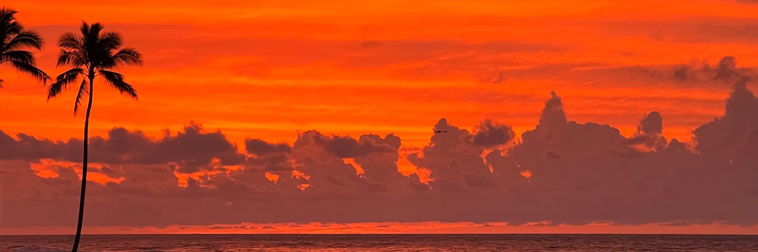 camryn_veerman's profile banner image