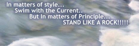 TaniaDP_252's profile banner image