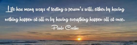 Tonya Schumann banner