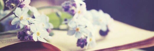 Ahlam940's profile banner image
