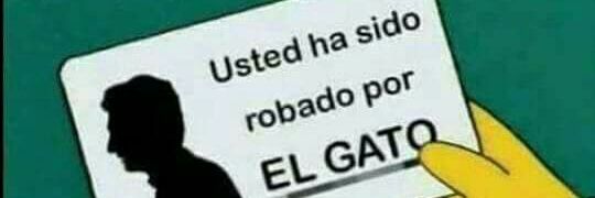 el pa'i banner