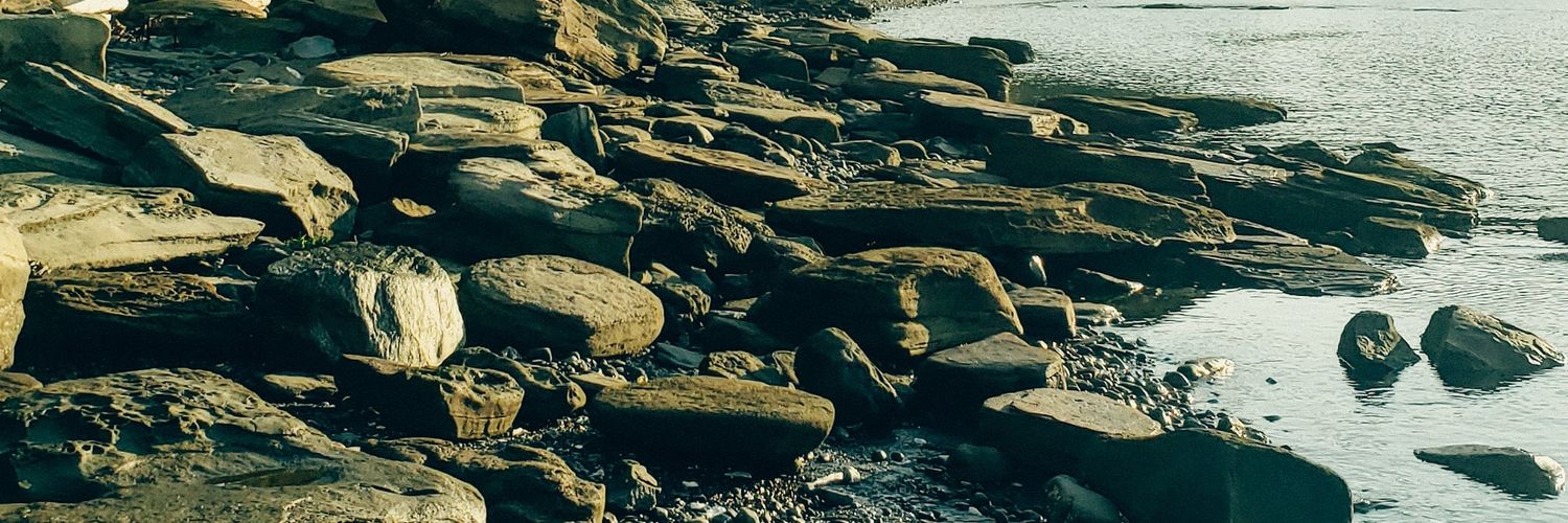 talamoon__'s profile banner image