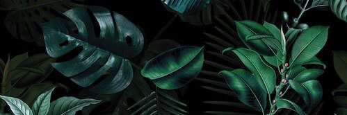 _gisellee23's profile banner image