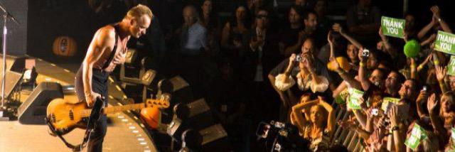 steve leicester banner