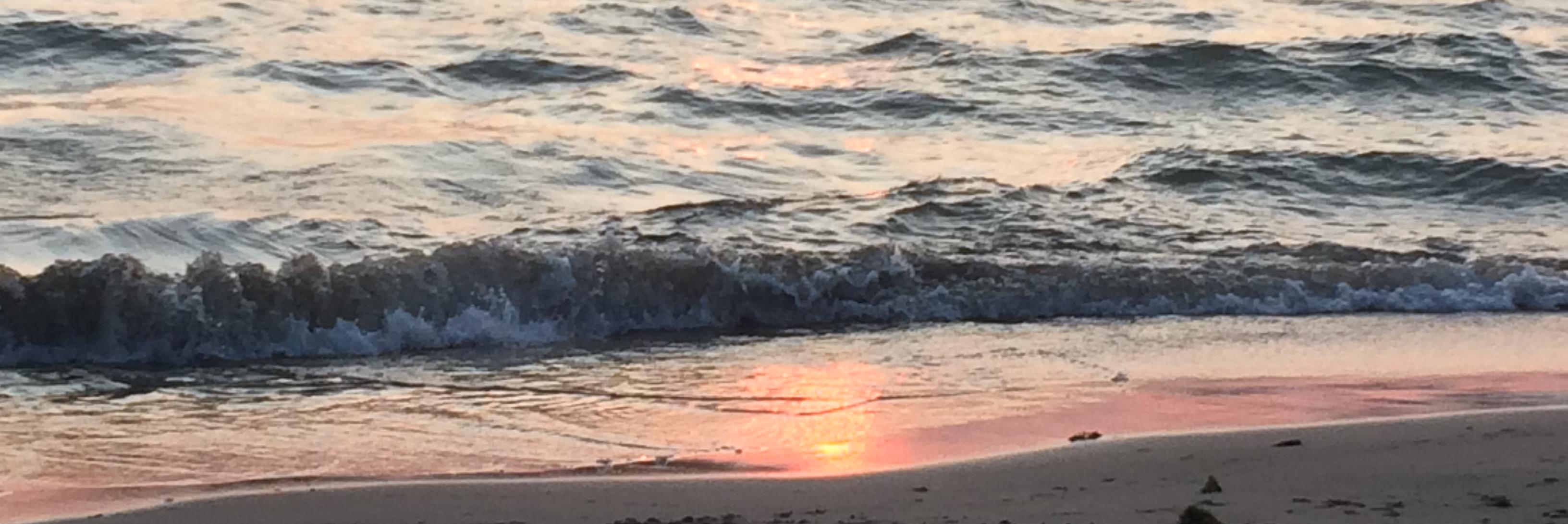 alannahmarieg's profile banner image