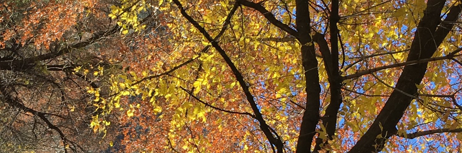 teeh_bagg's profile banner image
