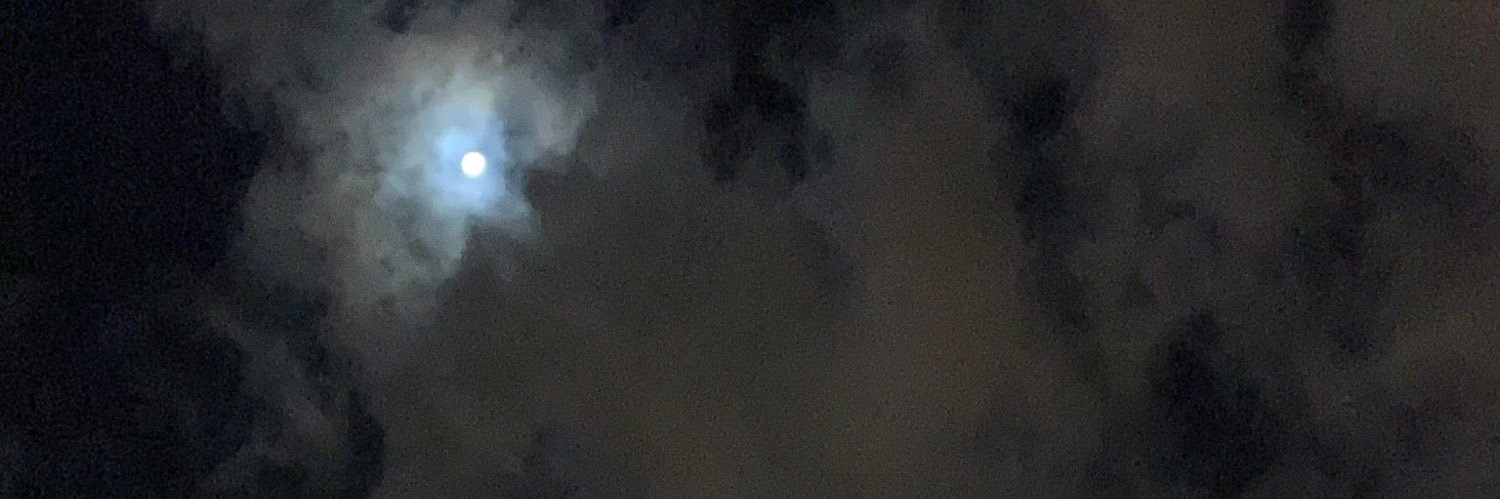 bluekiz1's profile banner image
