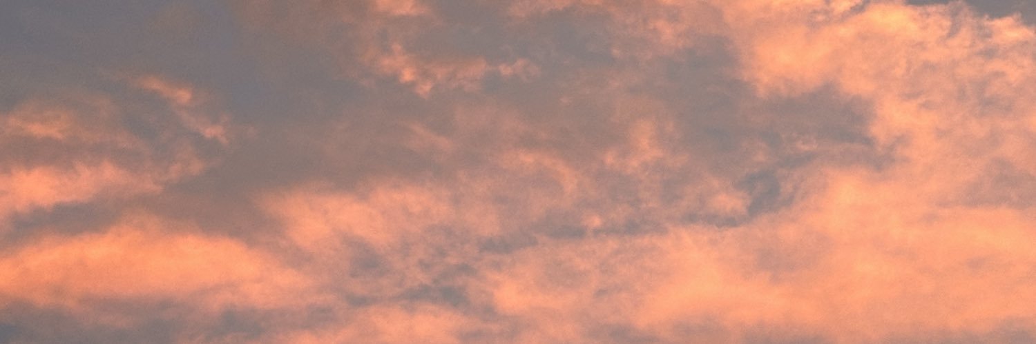 VaneeOlveera's profile banner image