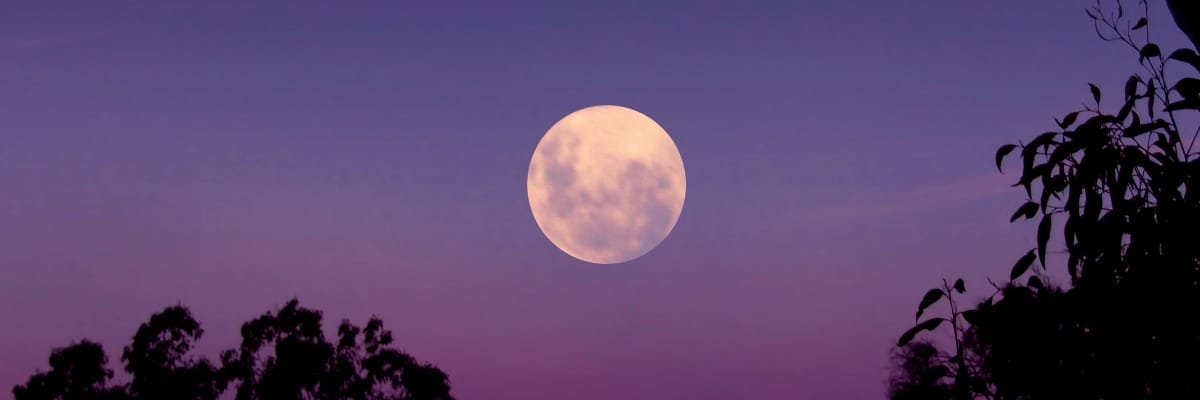 Omxr_8_'s profile banner image