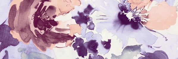 aneisachassity's profile banner image
