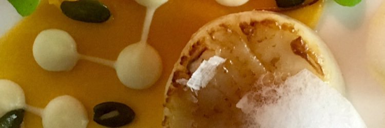 Simon Gueller banner