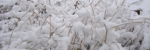 zweite Profile Banner