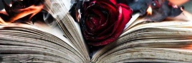 Cal_Diw's profile banner image