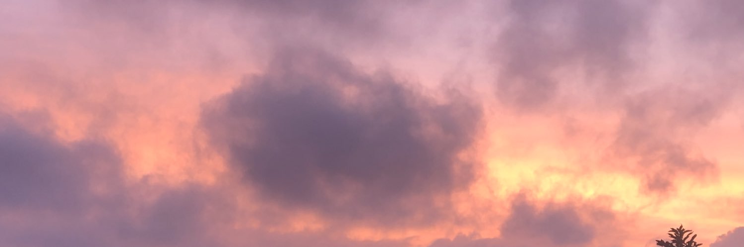 MeliTmz's profile banner image