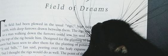 Adeotroplaneta's profile banner image