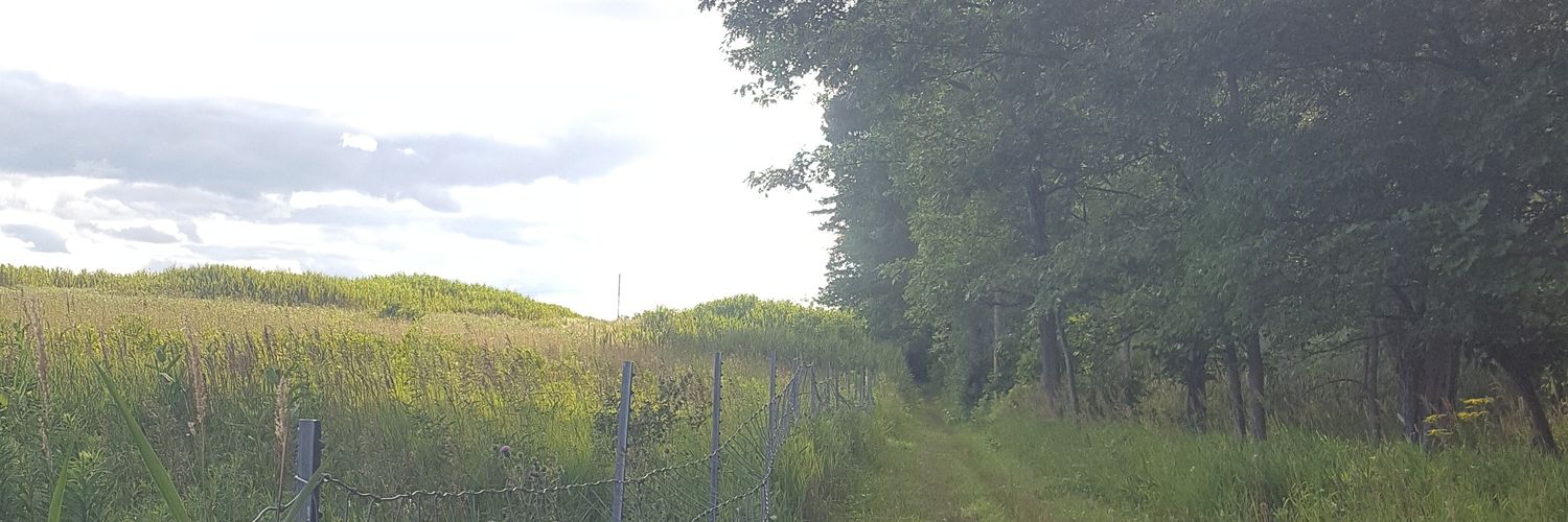 jdukes89's profile banner image