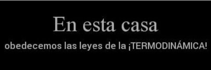 Don_Canarito's profile banner image
