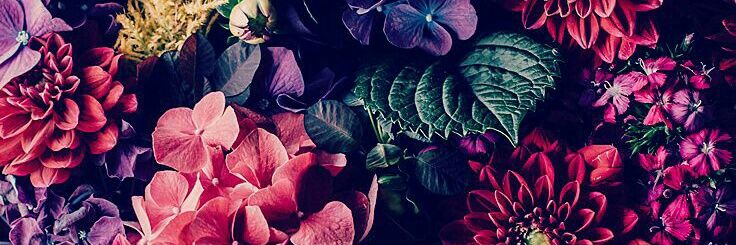 _azayen's profile banner image