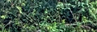 AnthonyYnoh's profile banner image