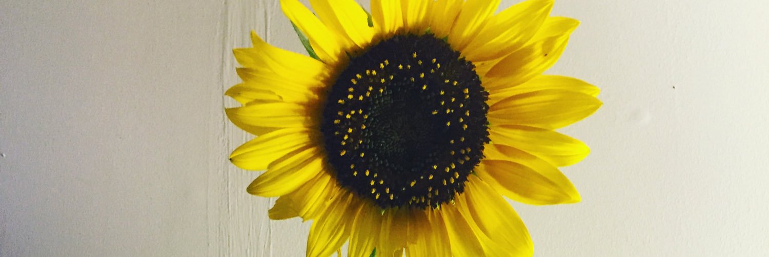 Han_Noelle's profile banner image