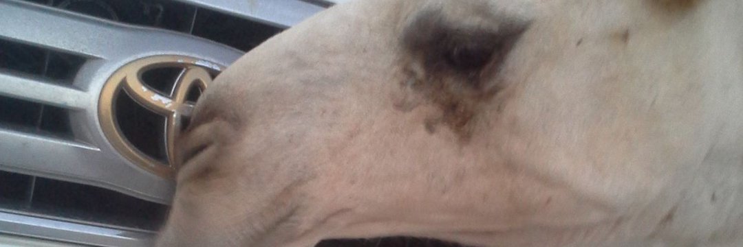 ابو معاذ banner