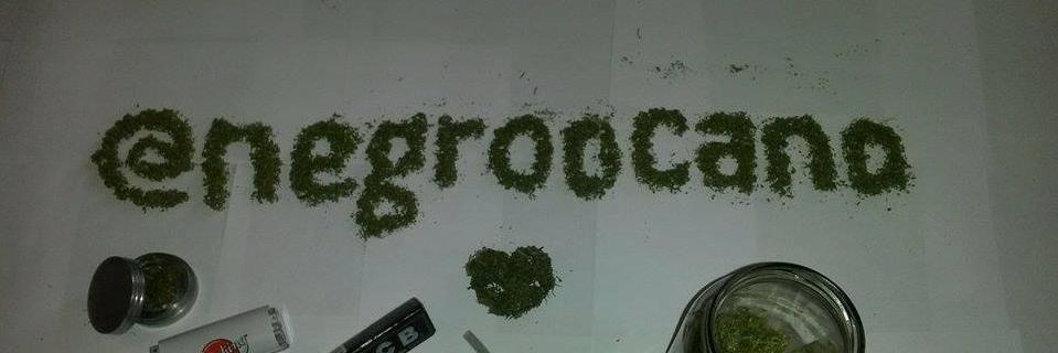negroocano's profile banner image