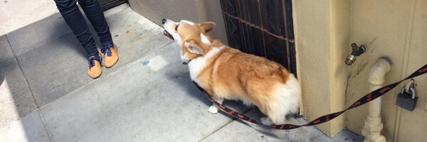 rtsugar Profile Banner