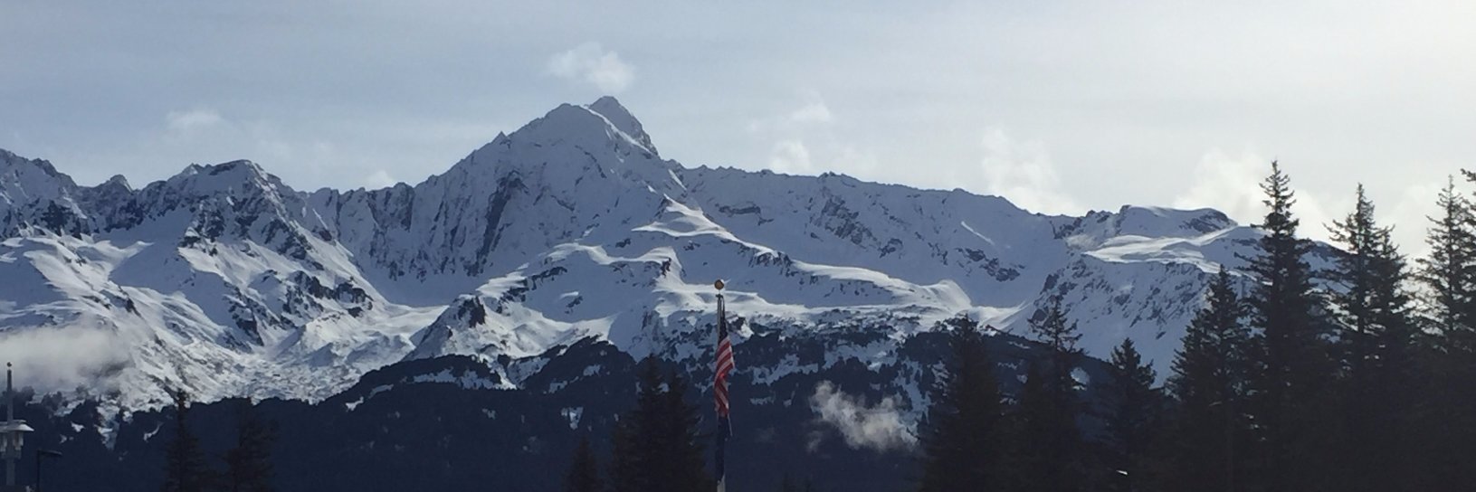 Carlyn Walker banner